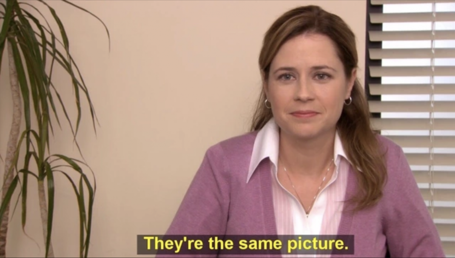 theyre-the-same-picture-pam-the-office.png|600